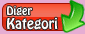 Diğer kategori ve menüyü göster / kapat