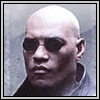 TerMiNator