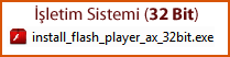 Adobe Flash Player 11 kurulum dosyas
