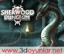 3D Oyun: Sherwood Dungeon - Knight online benzeri browser oyunu, online gerçek kullanıcılarla birlikte oynuyor ve bölüm - level geçiyorsunuz, her level geçişinde daha da güçleniyorsunuz