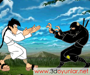 Karate Kamil Ninja Dövüşü